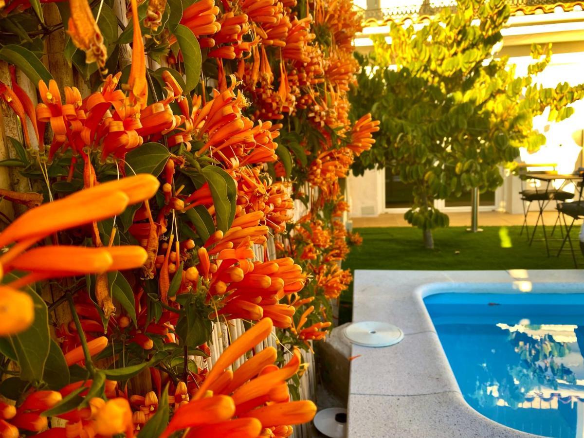 Suite Breeze - Private Heated Pool Málaga Exteriör bild